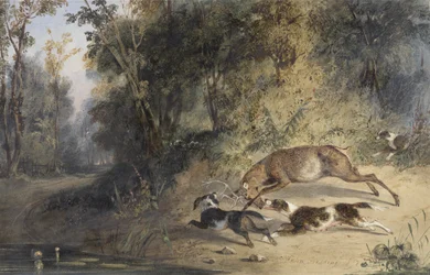 ウッドハウンドプールの端でクワガタを追いかけるディアハウンドとビッチ（紙にトイレ、アラビア語のガムとボディカラー）